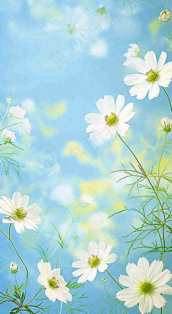 春天清新白色花朵温馨，蓝色朦胧，立春惊蛰春分摄影图