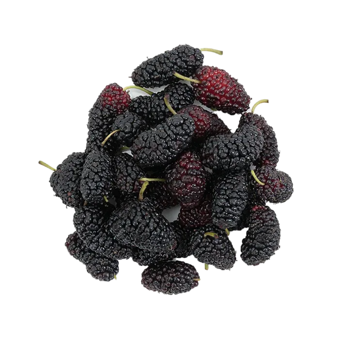 A-桑葚 (3)水果超市商品白底图免抠实物摄影png格式图片透明底