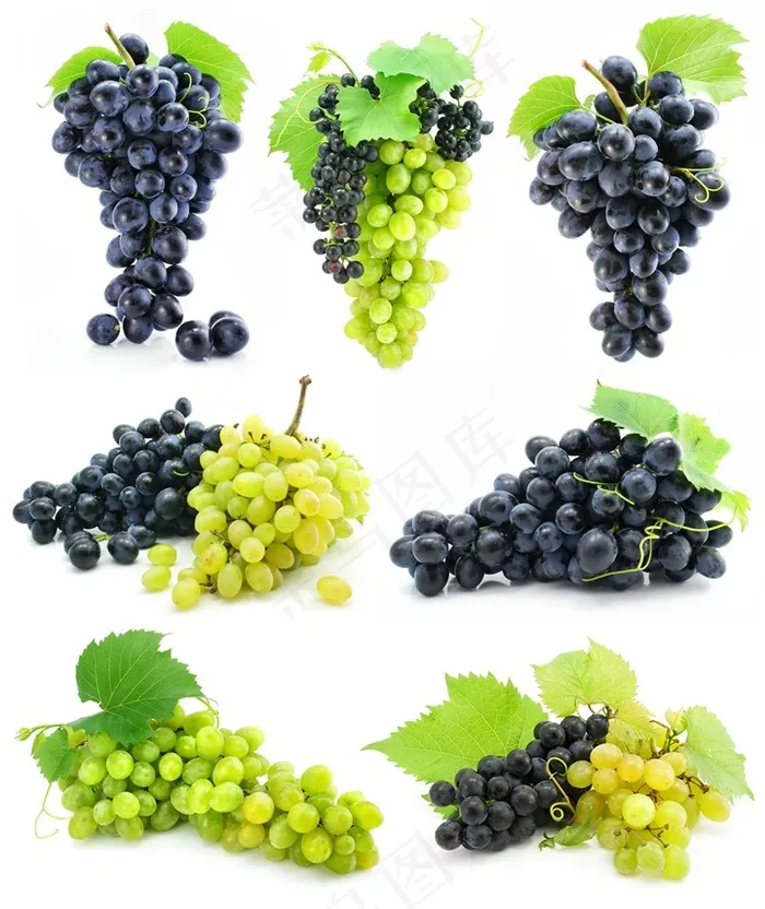 7组葡萄高清图片素材各种形状的葡萄紫色绿色葡萄叶子高清图片素材下载