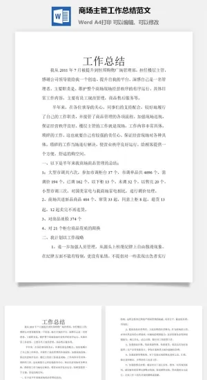 商场主管工作总结范文word模板预览图