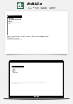试验报表系统excel模板预览图