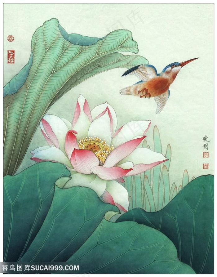 工笔荷花与鸟国画图片