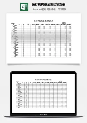 医疗机构基金变动情况表excel模板预览图