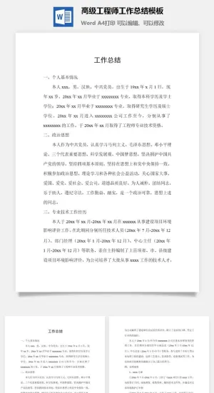 高级工程师工作总结模板word模板预览图