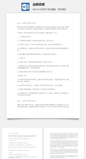 出纳总结word模板预览图