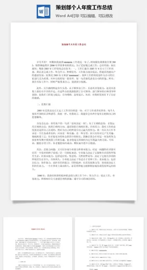 策划部个人年度工作总结word模板预览图