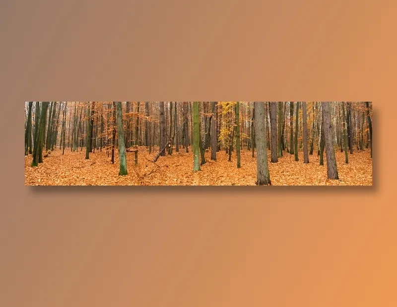 红木林全景摄影3D环境贴图