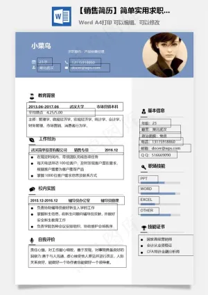 【销售简历】简单实用求职简历个人简历通用简历预览图
