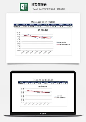 财务数据表excel模板预览图