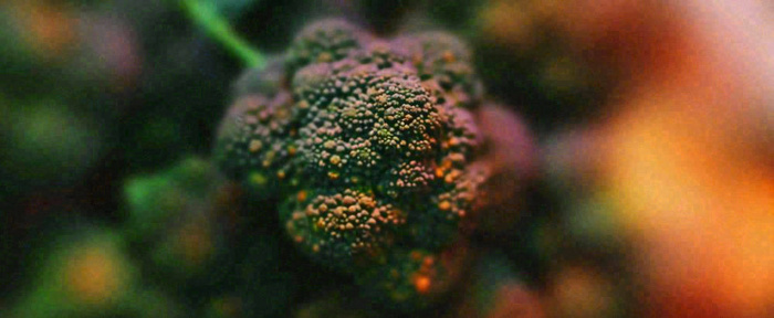 蔬菜西兰花西红柿番茄摄影摄影图