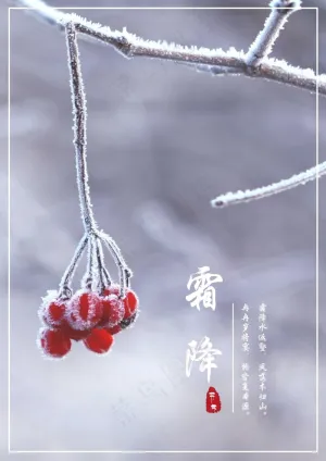 霜降传统节气预览图