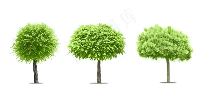 三款不同形状的小树高清图片