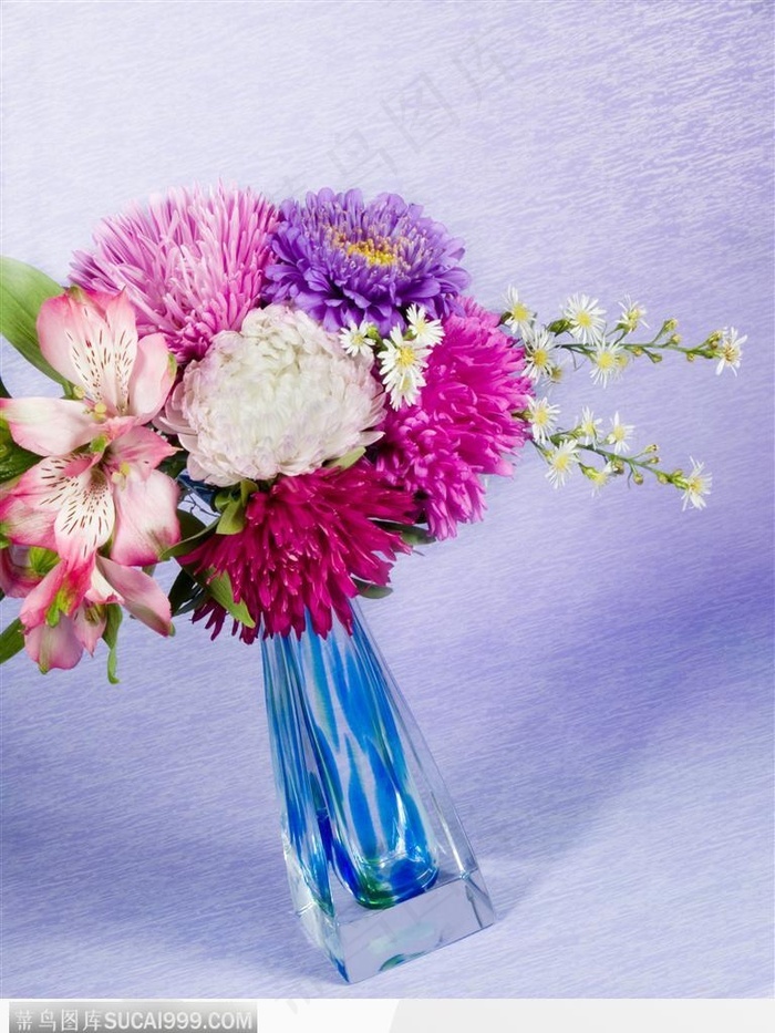 花束物语 蓝色花瓶中的菊花 菜鸟图库