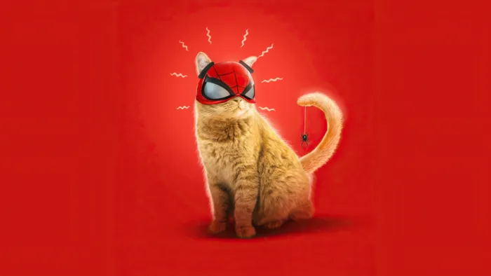 喵星人 红色 背景 海报 猫 动物 壁纸
