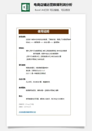 电商店铺运营数据利润分析预览图
