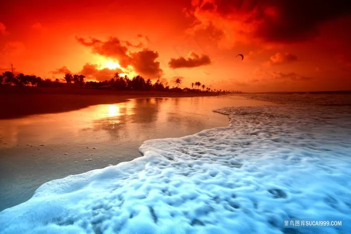 唯美海边日出夕阳壁纸