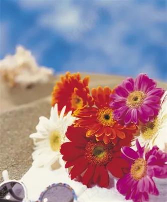 唯美清新的鲜花素材图片