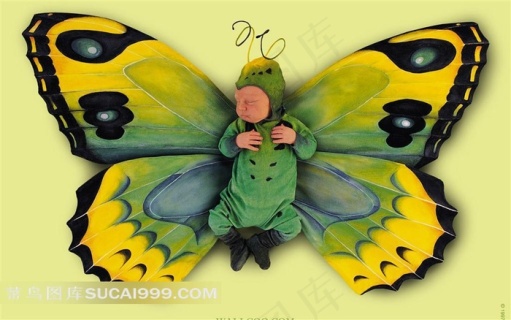 精美蝴蝶宝宝创意壁纸