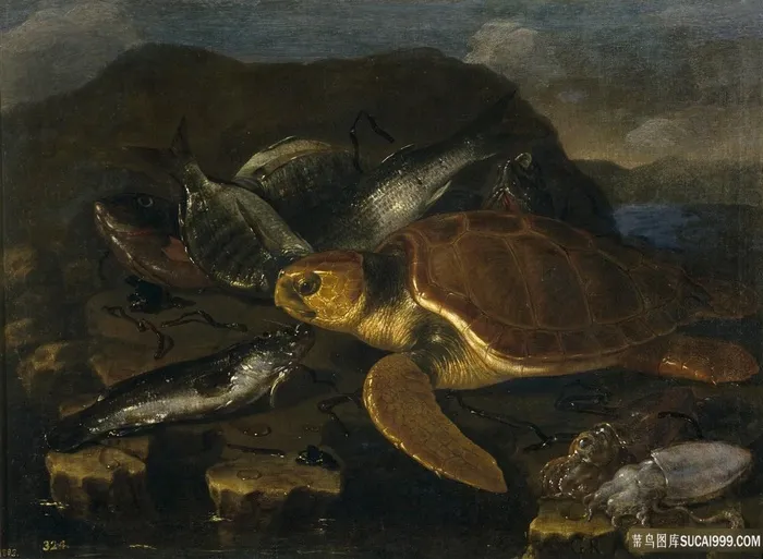 海龟乌龟油画装饰画