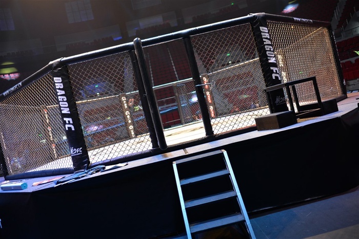 综合格斗八角笼 - 菜鸟图库