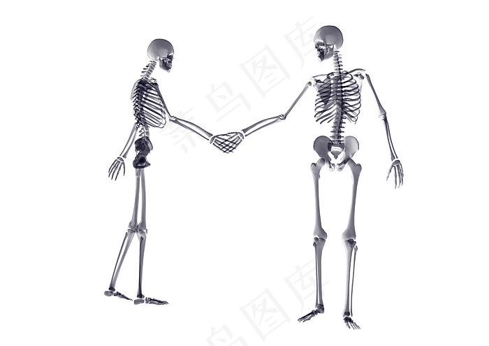 骷髅人握手图片