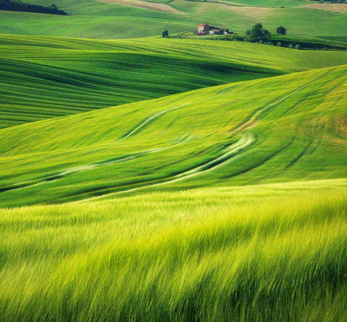 春天连绵山脉绿色草地郊游，清新惊蛰春分摄影图