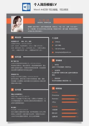 个人简历模板LV2预览图