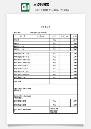 出资情况表excel模板预览图