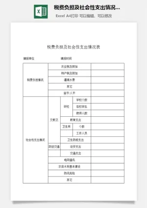 税费负担及社会性支出情况表excel模板预览图