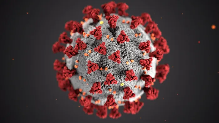 新型冠状病毒显微镜图片