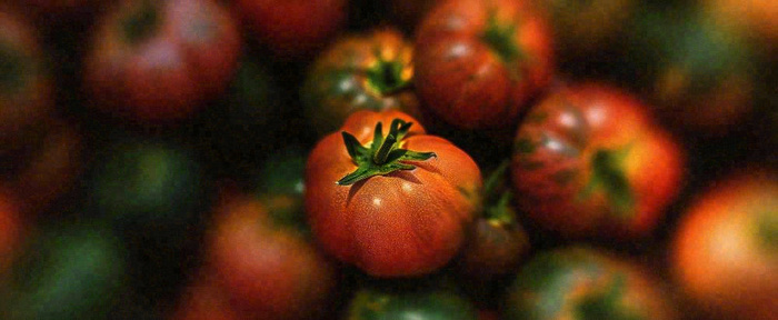 蔬菜西兰花西红柿番茄摄影摄影图