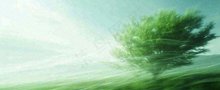 高山模糊绿树植物光影，大自然摄影图