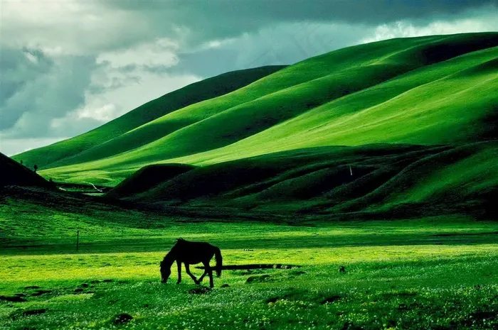 西藏龙灯草原植被茂密的远山与吃草的马匹