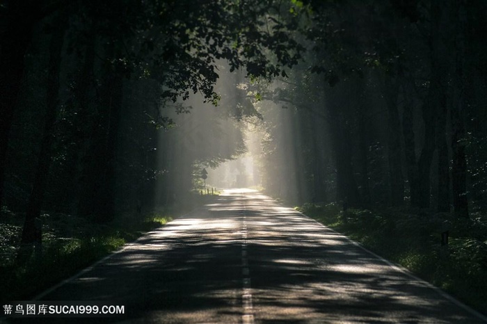 本素材作品名称为丁达尔效应林荫道树林图片,素材编号是2715887