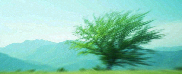 高山模糊绿树植物光影，大自然摄影图