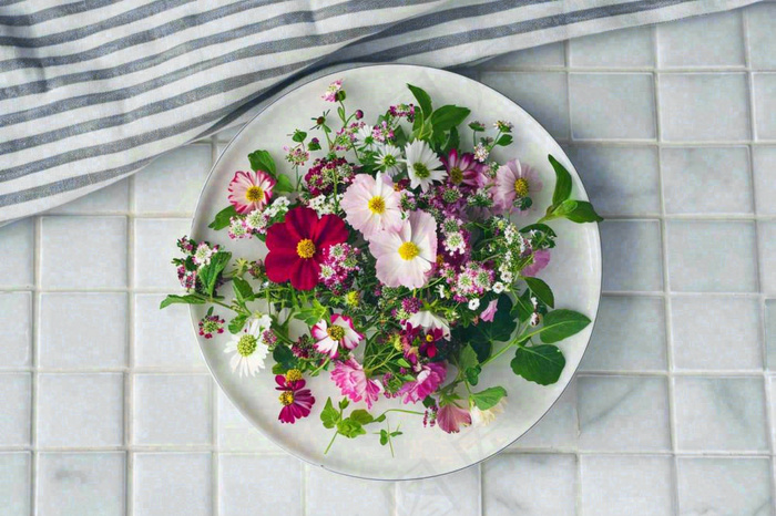 鲜花彩色花朵碟子摆盘简约摄影图