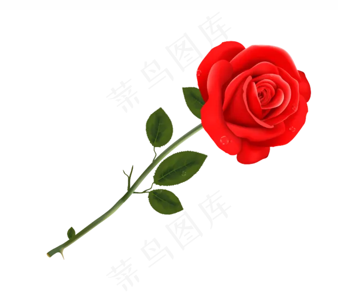 一支美丽的红玫瑰花素材