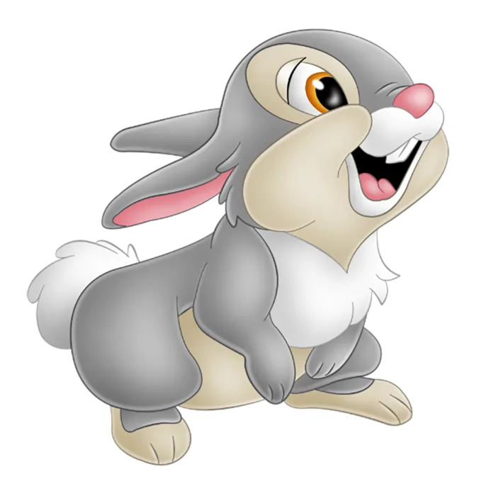兔年灰色兔子