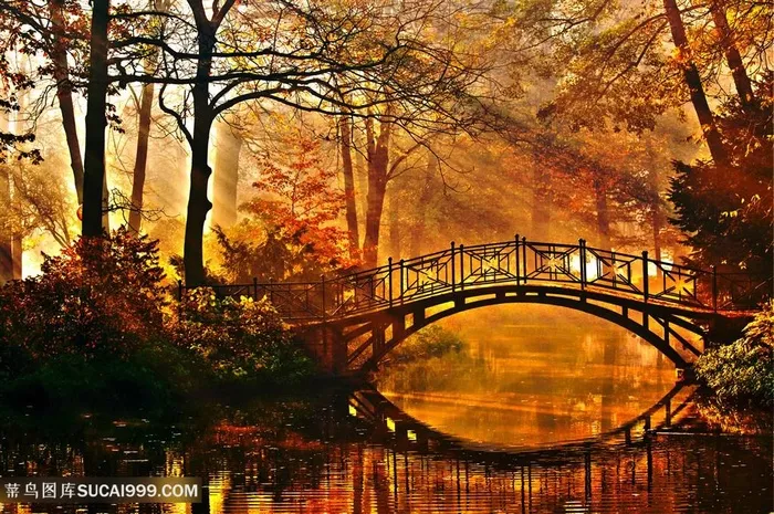 高清唯美秋天山林小桥风景图片