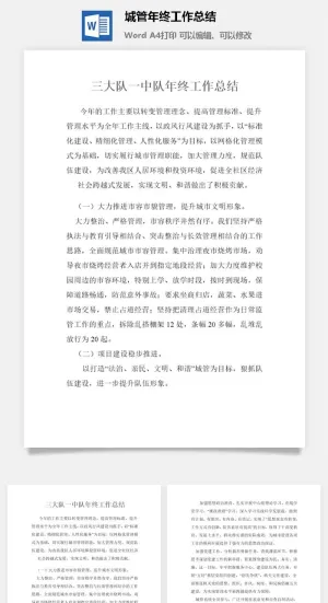 城管年终工作总结word模板预览图