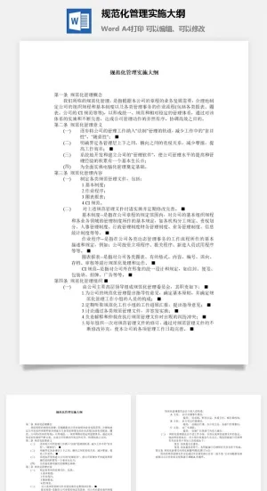 规范化管理实施大纲word模板预览图