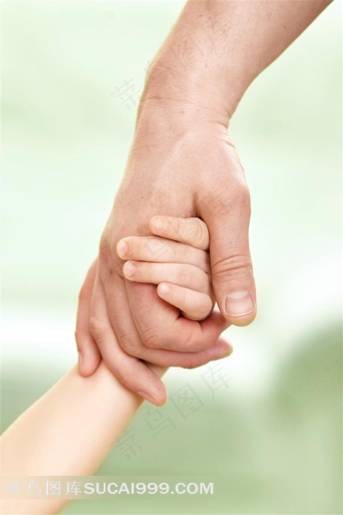 高清大手牵小手摄影素材手势图片
