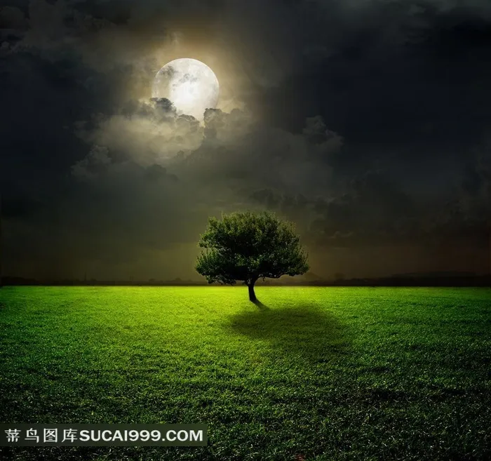云后的月亮与草地大树高清壁纸