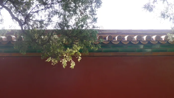 北京故宫红墙绿瓦黄叶