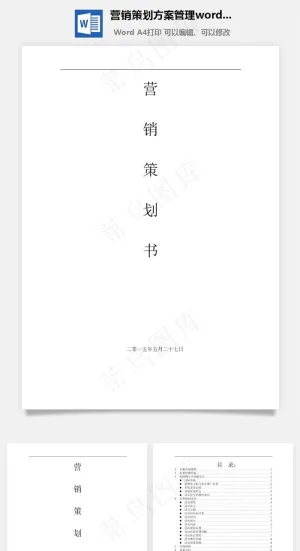 营销策划方案管理word文档预览图
