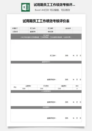 46试用期员工工作绩效考核评价表预览图
