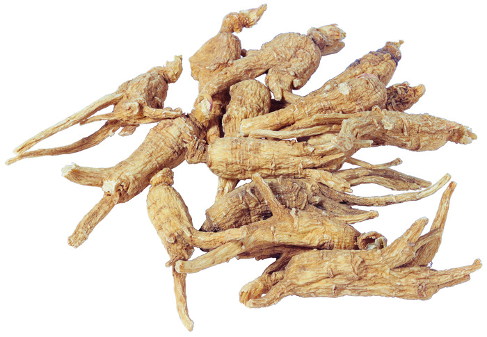 中药当归图片 - 菜鸟图库