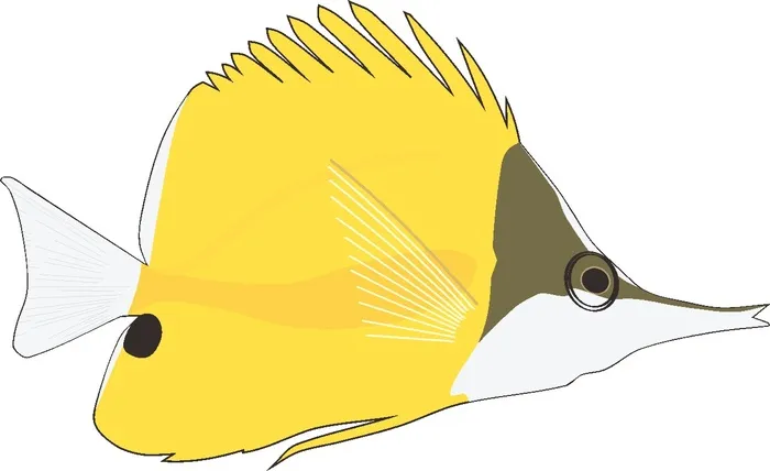 卡通动漫风动画动漫写实素描描摹动物海洋世界鱼11