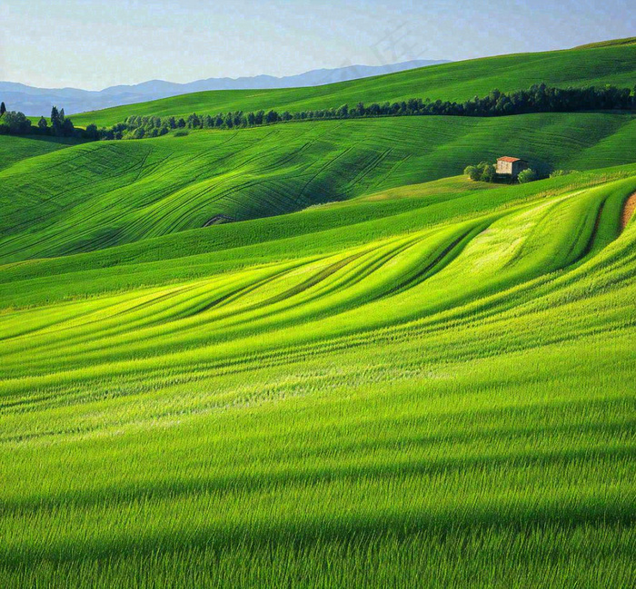 春天连绵山脉绿色草地郊游，清新惊蛰春分摄影图