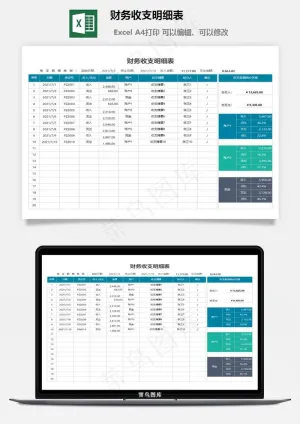 财务收支明细表预览图